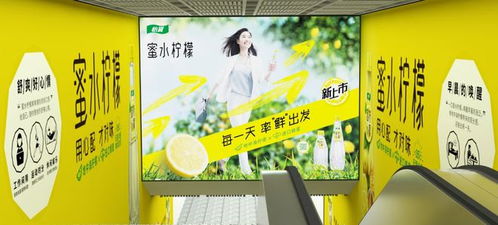 零點廣告 武漢地鐵品牌代理與景觀設計的融合，共筑城市流動風景線