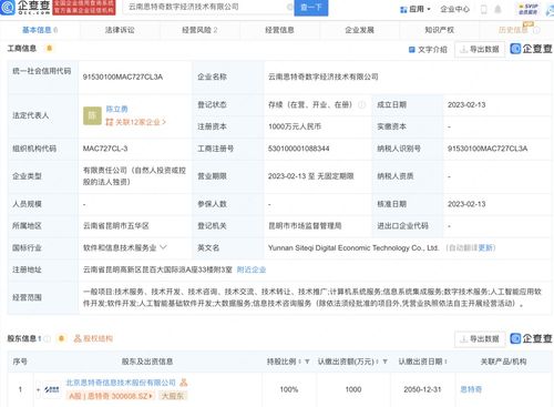 基礎(chǔ)軟件服務(wù) 數(shù)字化轉(zhuǎn)型的堅實(shí)基石